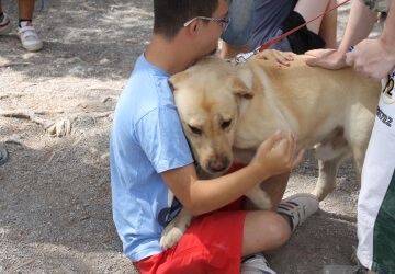 4- Postgrado en Instrucción de Unidades Caninas de Terapia y Actividades Asistidas con Perros.